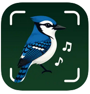 Identificador de Aves con IA - Guía de Aves - Identificador de Aves con IA - Guía de Aves